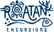 Partner logo 2